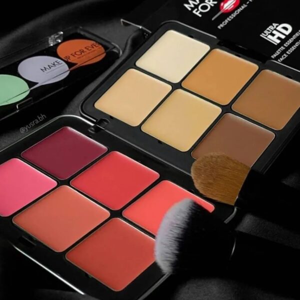 Carla Secret 12 Color Cream Concealer & Blush Palette 2 in 1