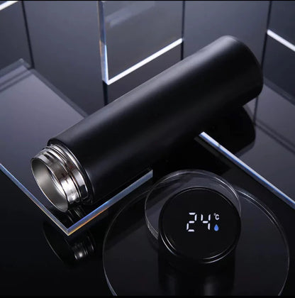 Temperature Water Bottle