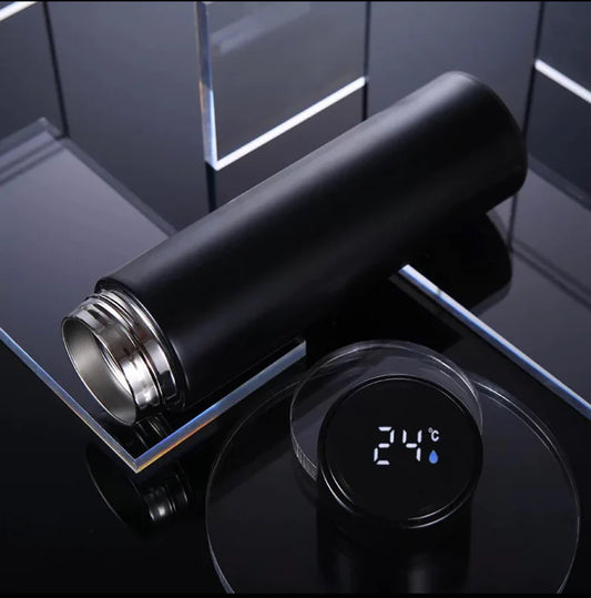 Temperature Water Bottle