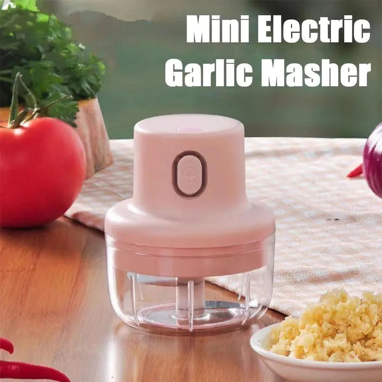 Rechargeable mini chopper