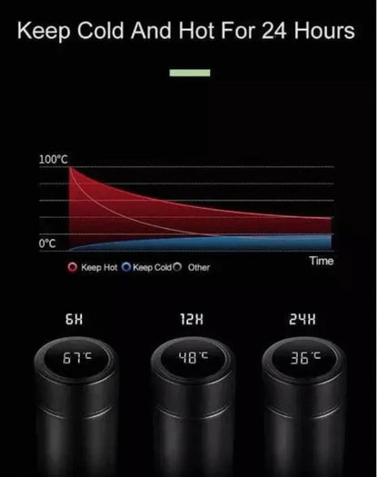 Temperature Water Bottle